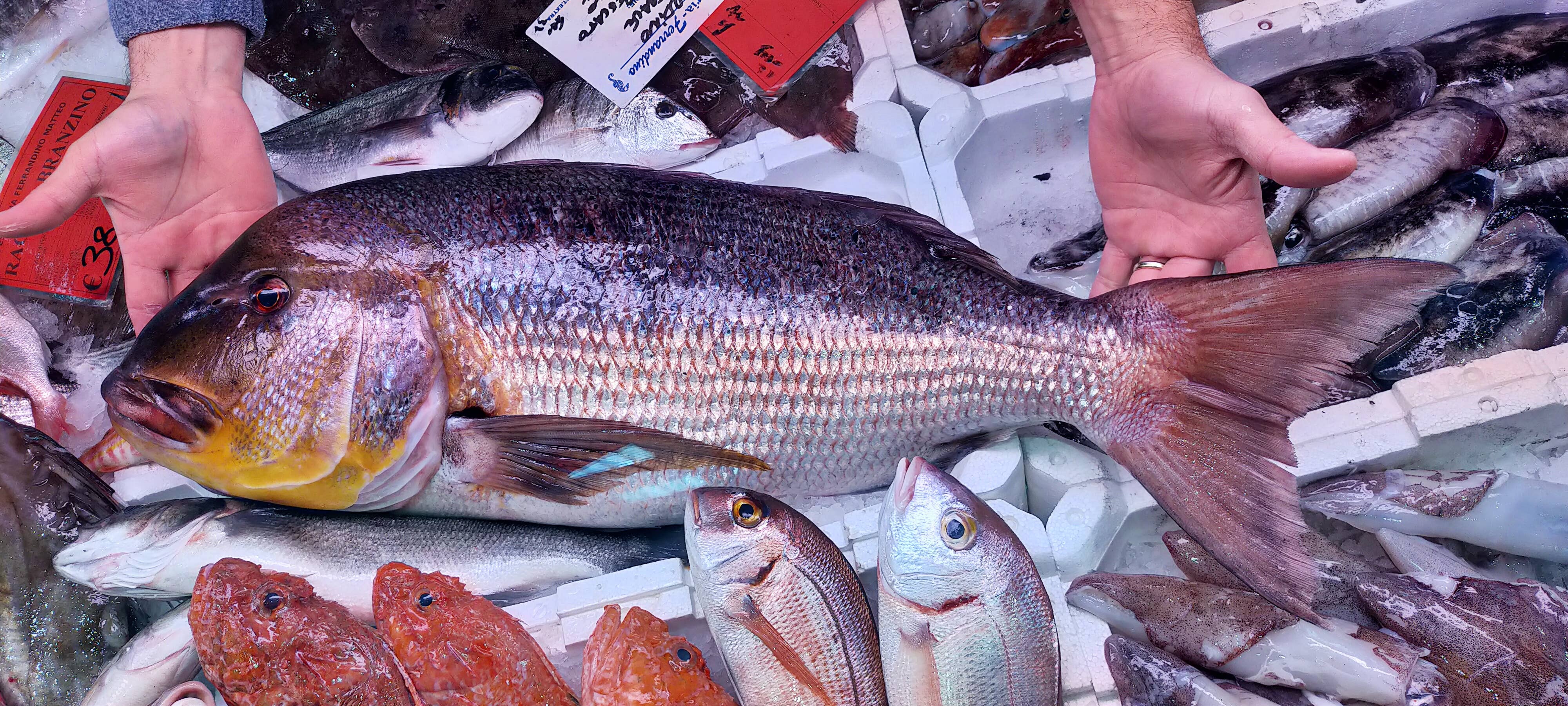 Toscana in Tavola - Wholesale Salsa - Cacciuccata Sauce 180g1