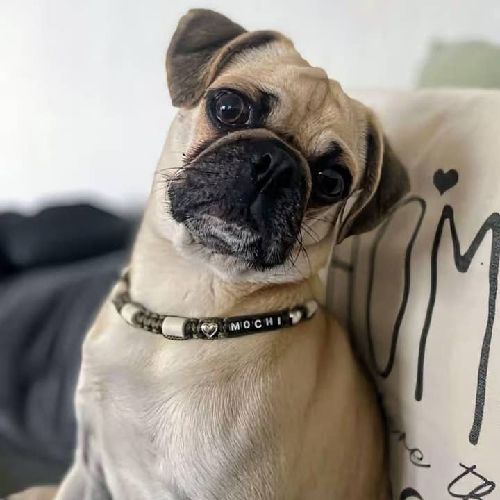 Coleira anti-carrapatos largura 1cm em cerâmica EM | Laissedewouf ajustável Coração por atacado de Laisse de wouf