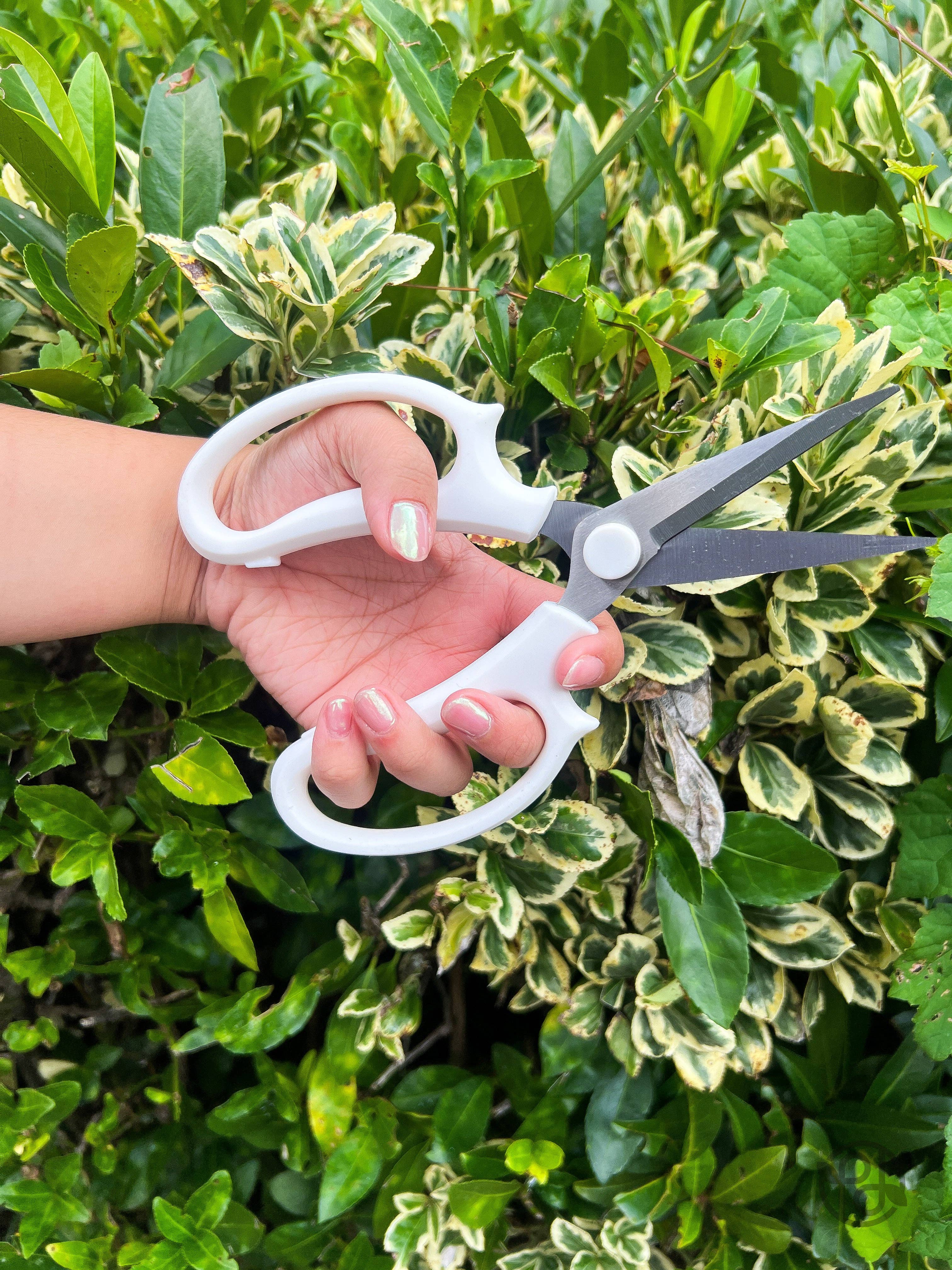 Propagation Diaries - Vente Outil de jardinage - Sécateurs0