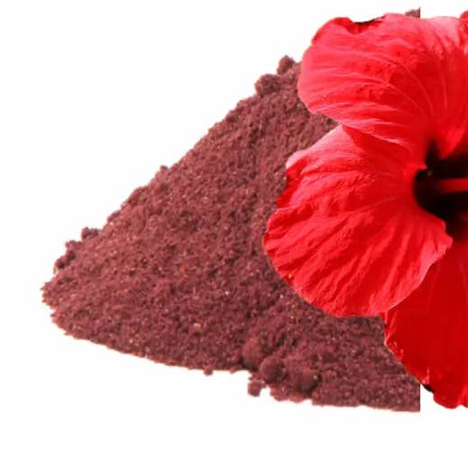 Hibiscus Powder for wholesale by Aromachology