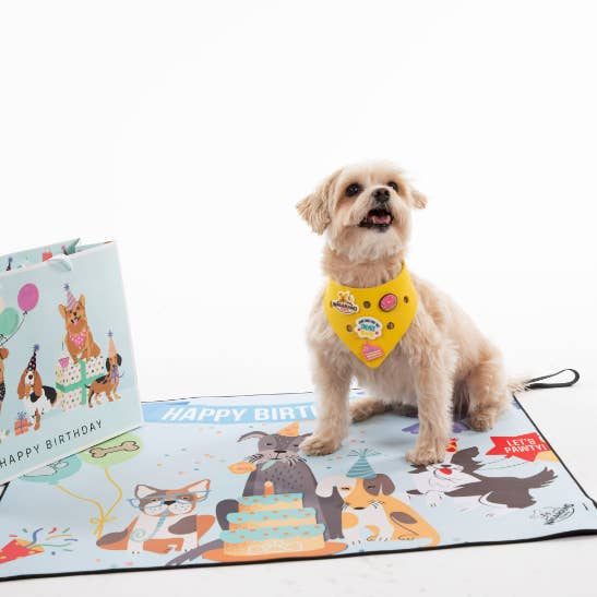 Lets Pawty! Birthday/Gotcha Day for wholesale by Wag Around Town