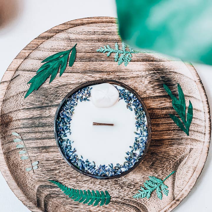 Surfing Road - Wholesale Jar/Filled Candle - Dollar Sand Candle - Bougie coquillage surf