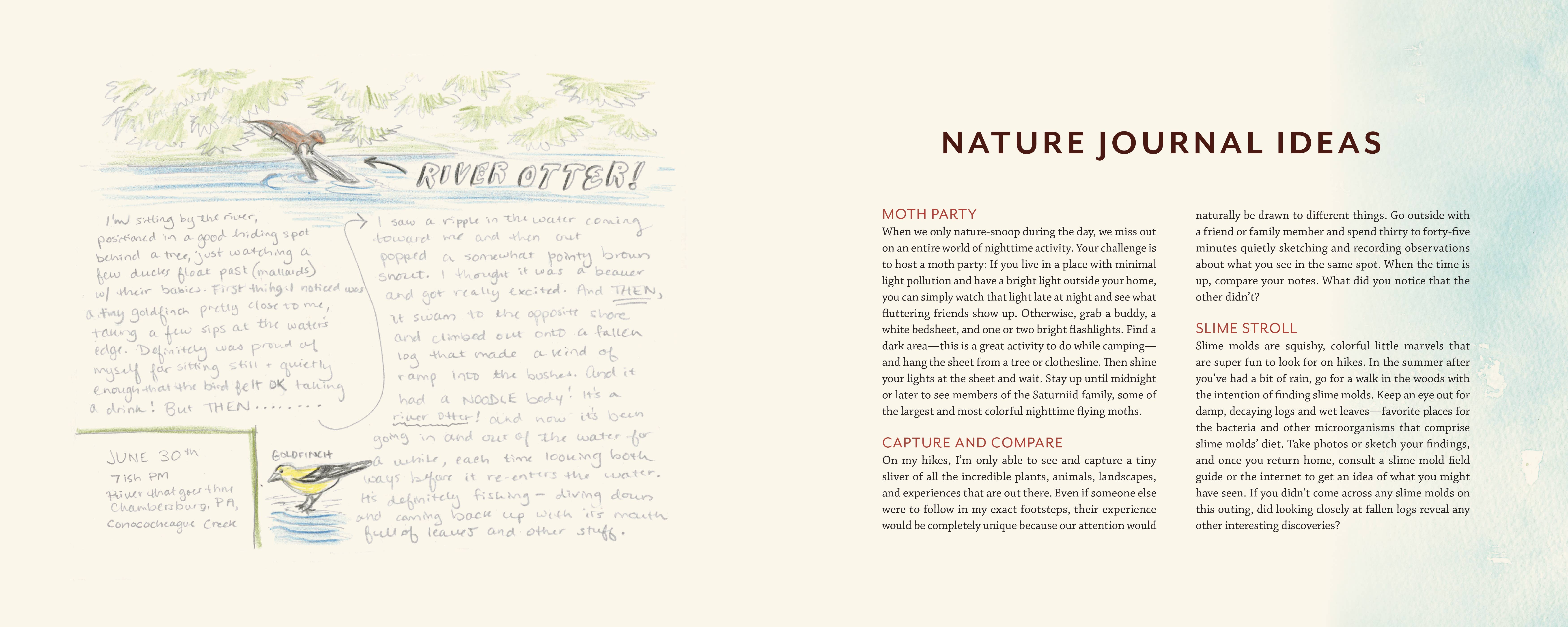 Mountaineers Books - Wholesale Nature & Outdoors - Tiny Worlds of the Appalachian Mountains5