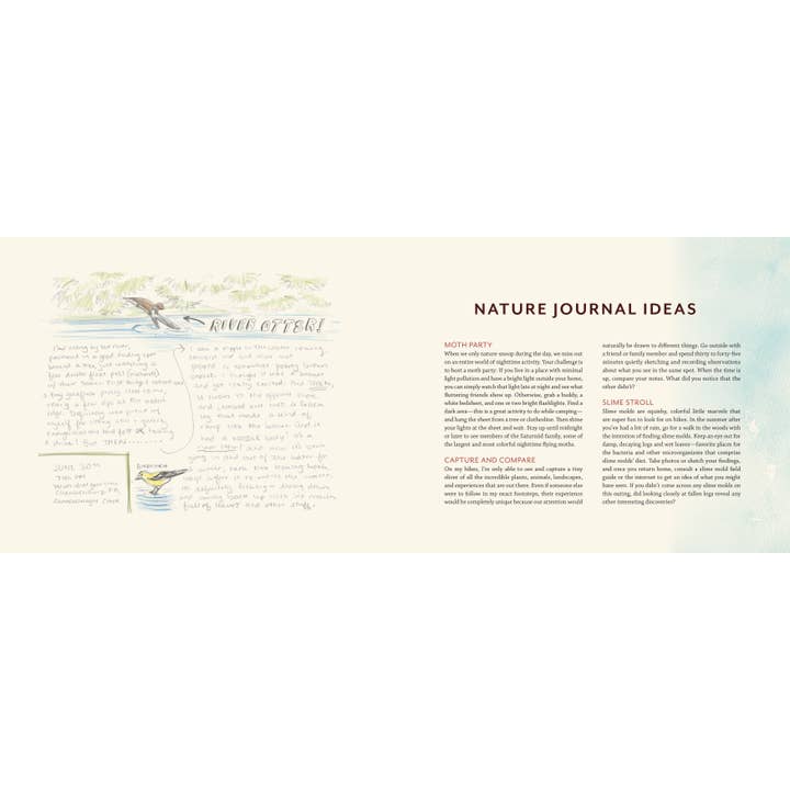 Mountaineers Books - Wholesale Nature & Outdoors - Tiny Worlds of the Appalachian Mountains5