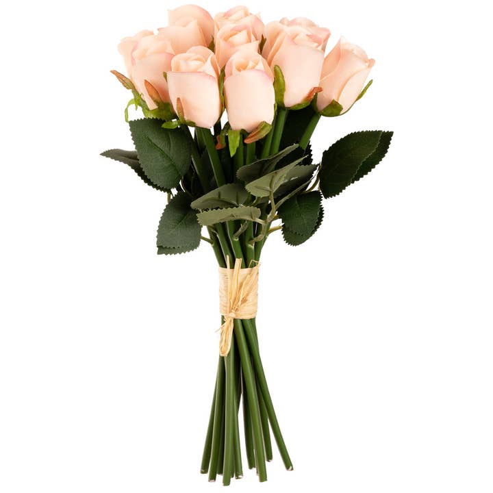 Beatrice Rose Bud Bos x 15 Champagne voor wholesale door Eleganza Floral