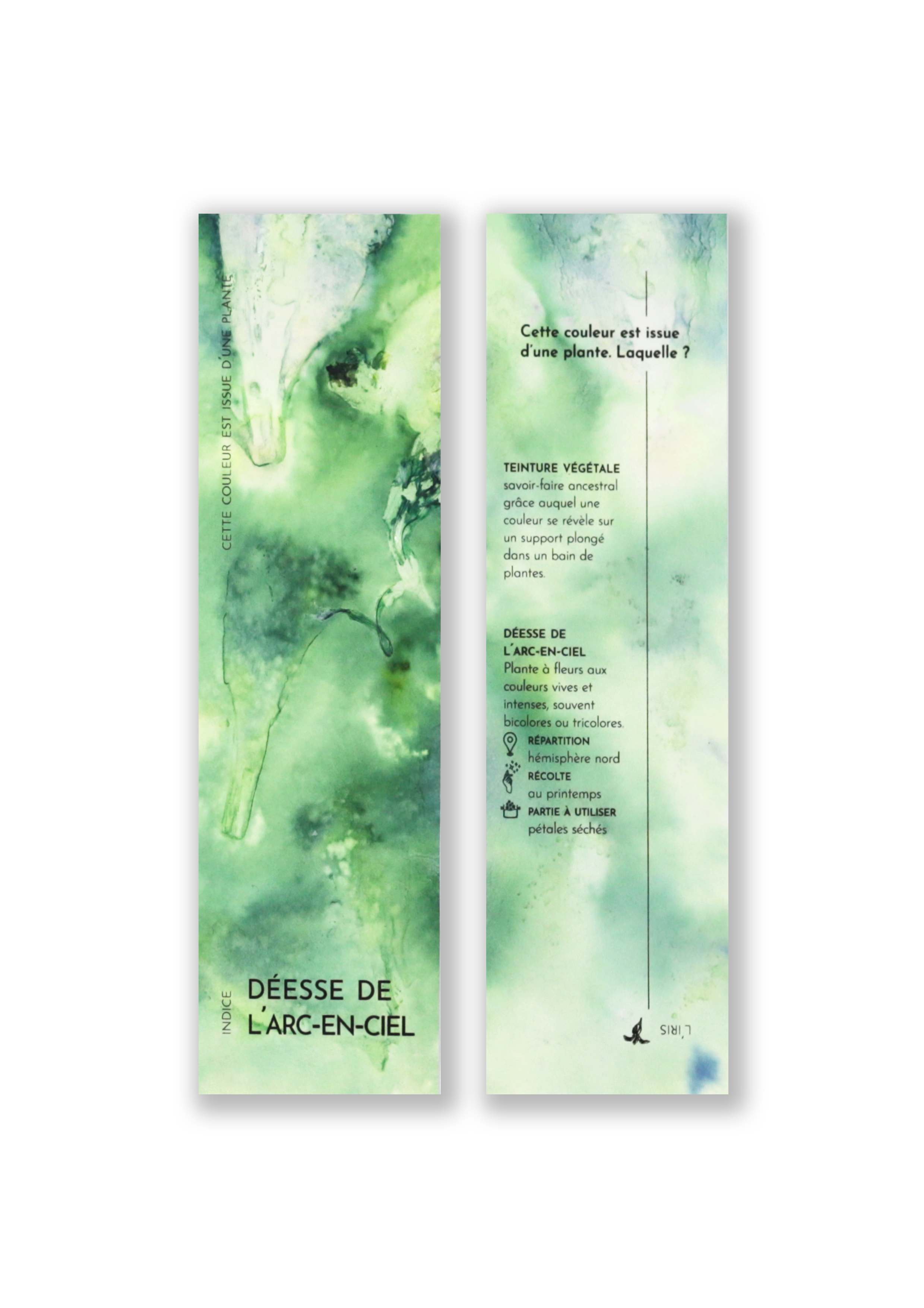 Cueillette - Wholesale Bookmark - Vegetal bookmark7