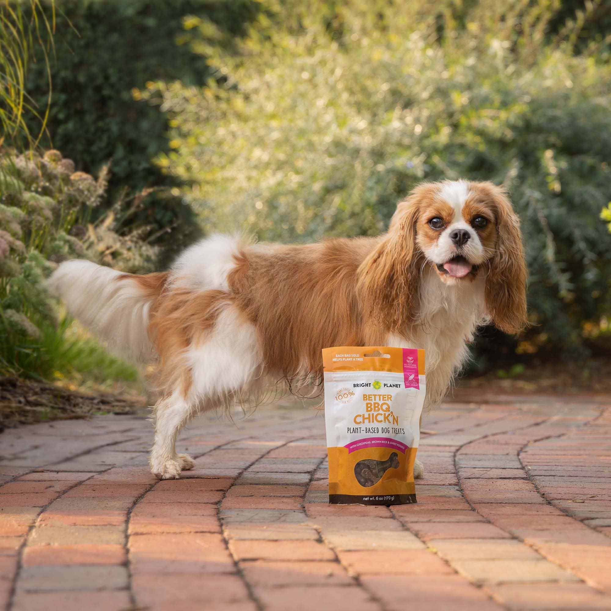 Bright Planet Pet - Wholesale Pet Treats - Dog - Better BBQ Chick'n Dog Treat3