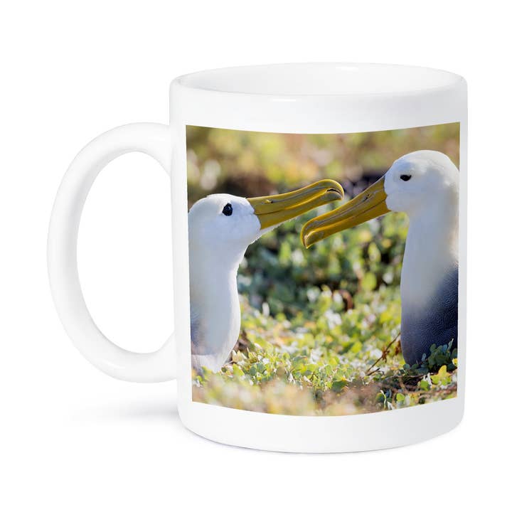 3dRose - Wholesale Coffee Mug - 3dRose, Ecuador, Galapagos, Espanola, Punta Suarez. Waven albatrosses pair., Mug8