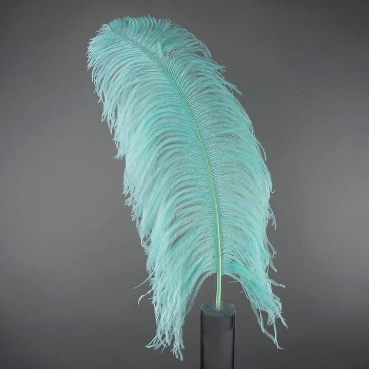 Store strudsefjer - 20-25" Prime Femina Plumes - Mint for engroshandel hos Zucker Feather Products