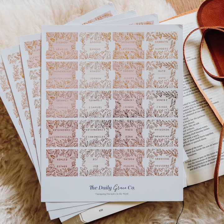The Daily Grace Co - Wholesale Book - Adult - Gold Foil Bible Tabs | Dusty Pink