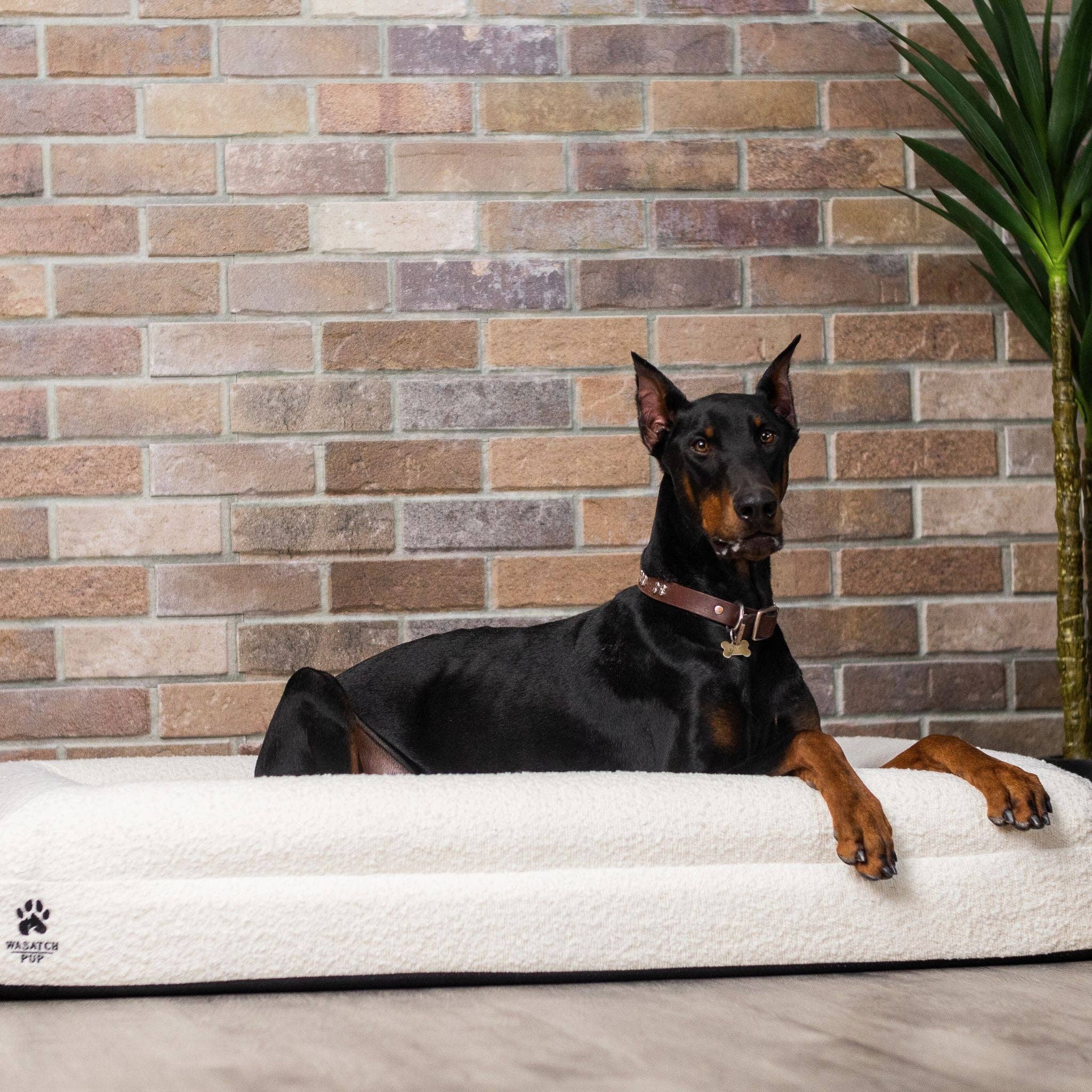 Wasatch Pup - Wholesale Pet bed – Dog - Luxury Orthopedic Dog Bed17
