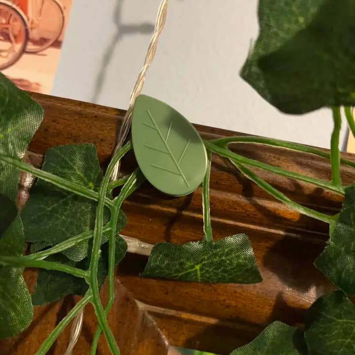 Moderny - Wholesale Wall Accent - Vine Plant Wall Clips1