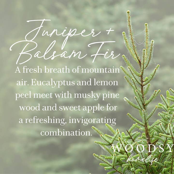 Woodsy Homelife - Wholesale Jar/Filled Candle - Juniper & Balsam Fir-Solid Brass 14oz Pure Soy Candle