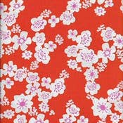 hana - mandarina (RTS) para venta al por mayor de Cookie & the Dude