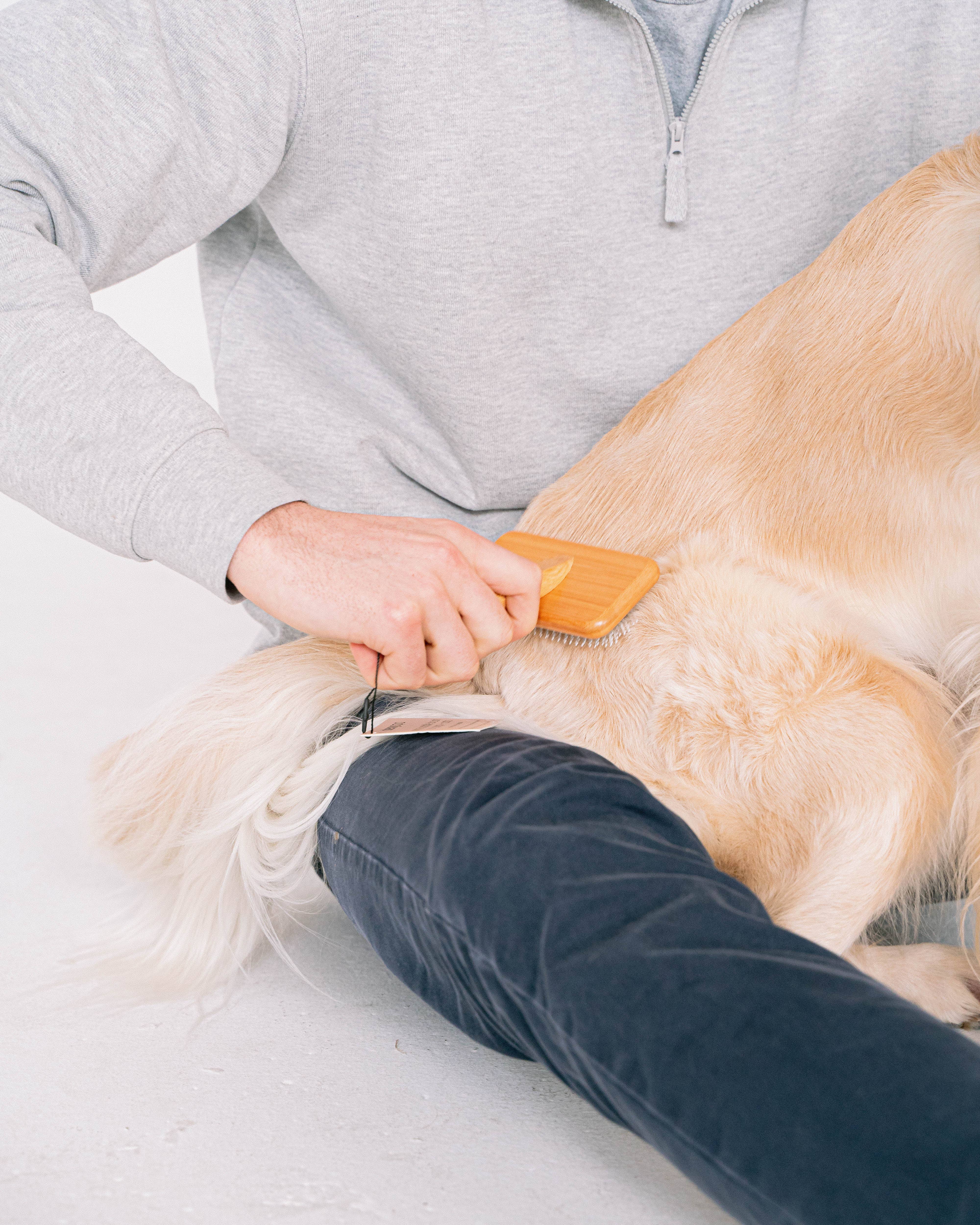 dexypaws – wholesale Pet brush – Cat/dog – Wide Paddle Brush for dogs & cats1