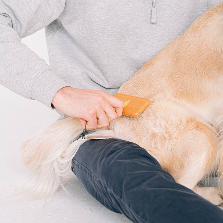 dexypaws – wholesale Pet brush – Cat/dog – Wide Paddle Brush for dogs & cats1