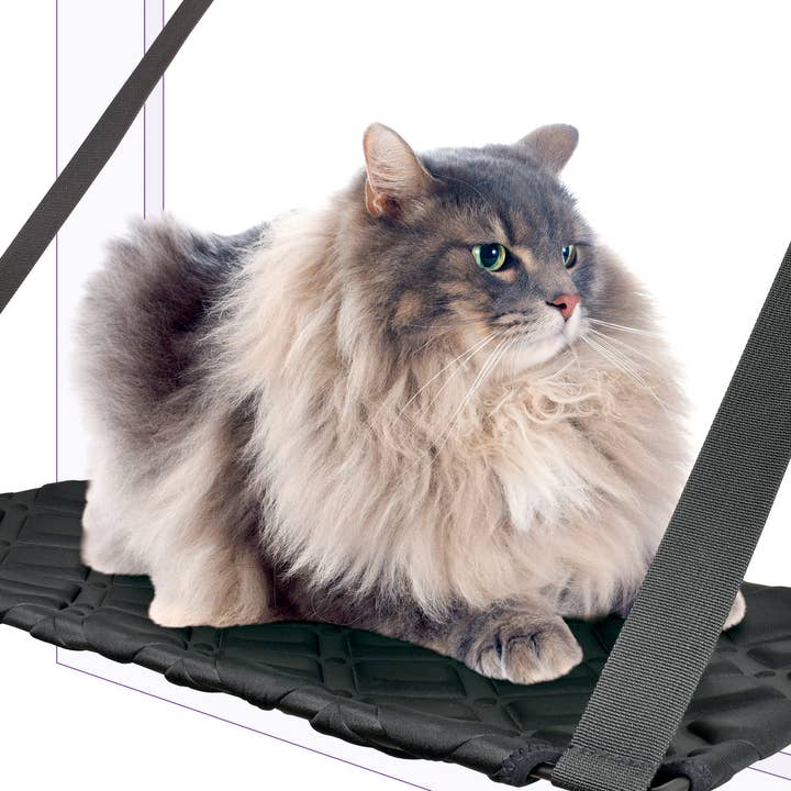 Cat Hammock With Suction Cup Black 59*33Cm Cat Beds for wholesale by Nayeco