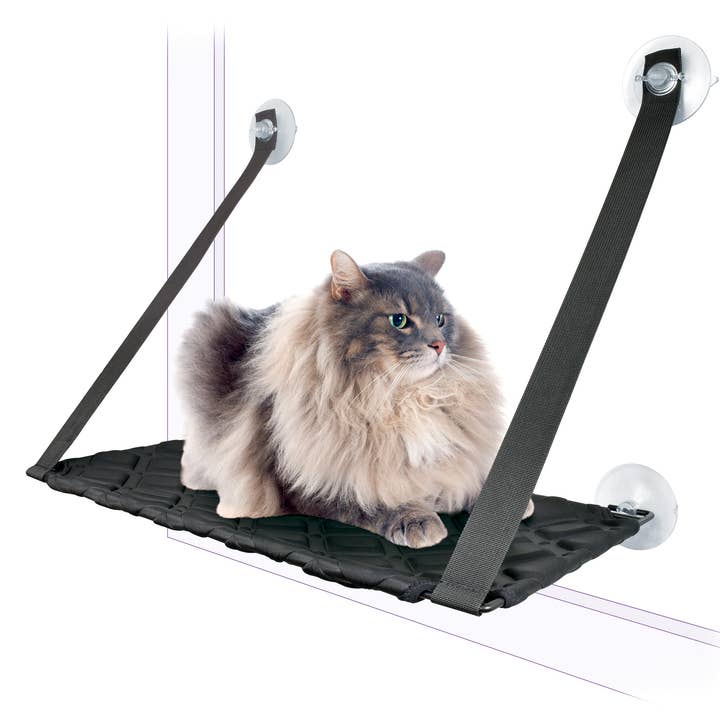 Katt Hängmatta Med Sugkopp Svart 59*33cm Kattbäddar för wholesale av Nayeco