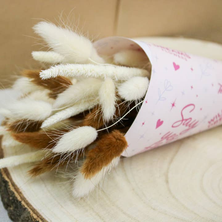 White & Chocolate Brown Bunny Tail Mix | Dried Floral Boho for wholesale by Wildestdreams.flowers