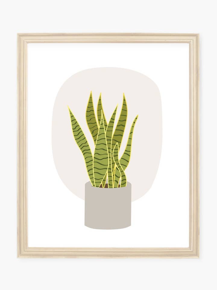 Snake Plant Art Print for wholesale by Tickle Me Lavender