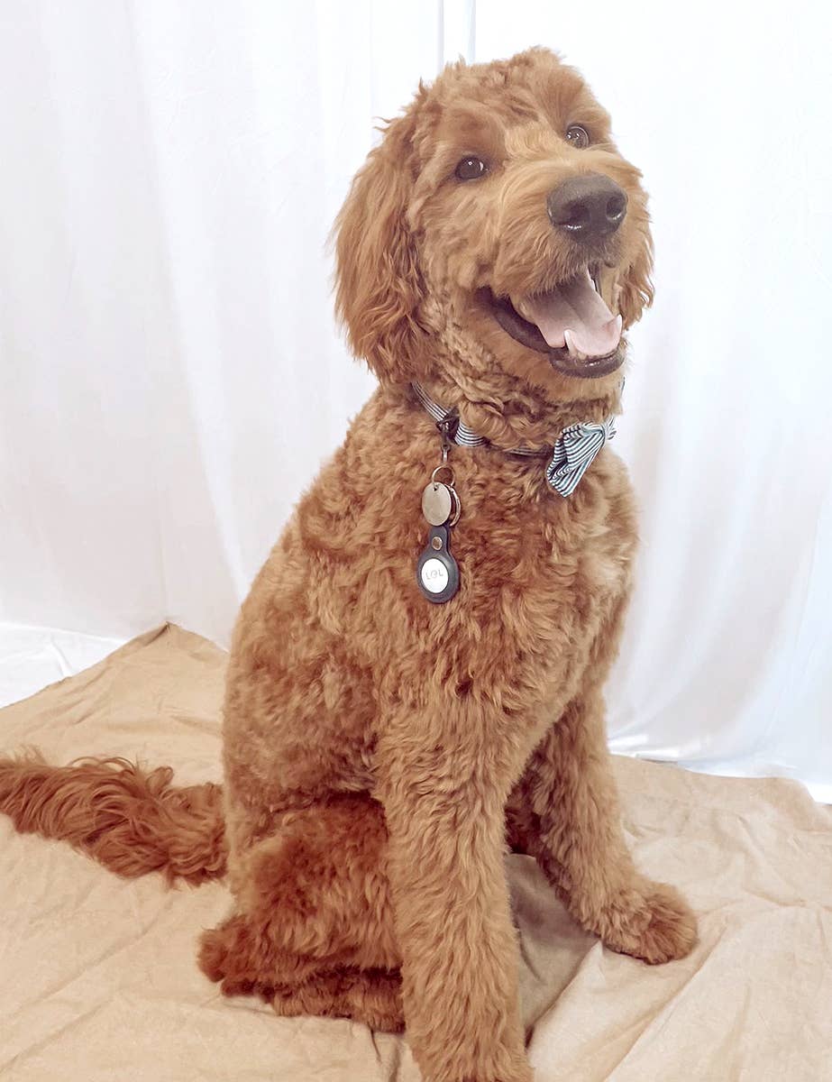 JNC RT (Jen & Co. Outlet) - Wholesale Keychain - Women's - G2058 Air Tag Holder with Key Ring8