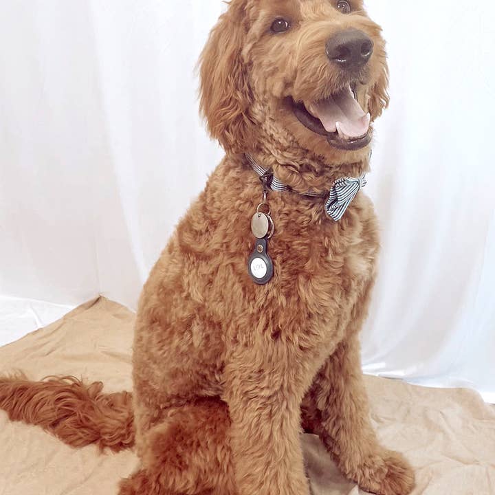 JNC RT (Jen & Co. Outlet) - Wholesale Keychain - Women's - G2058 Air Tag Holder with Key Ring8