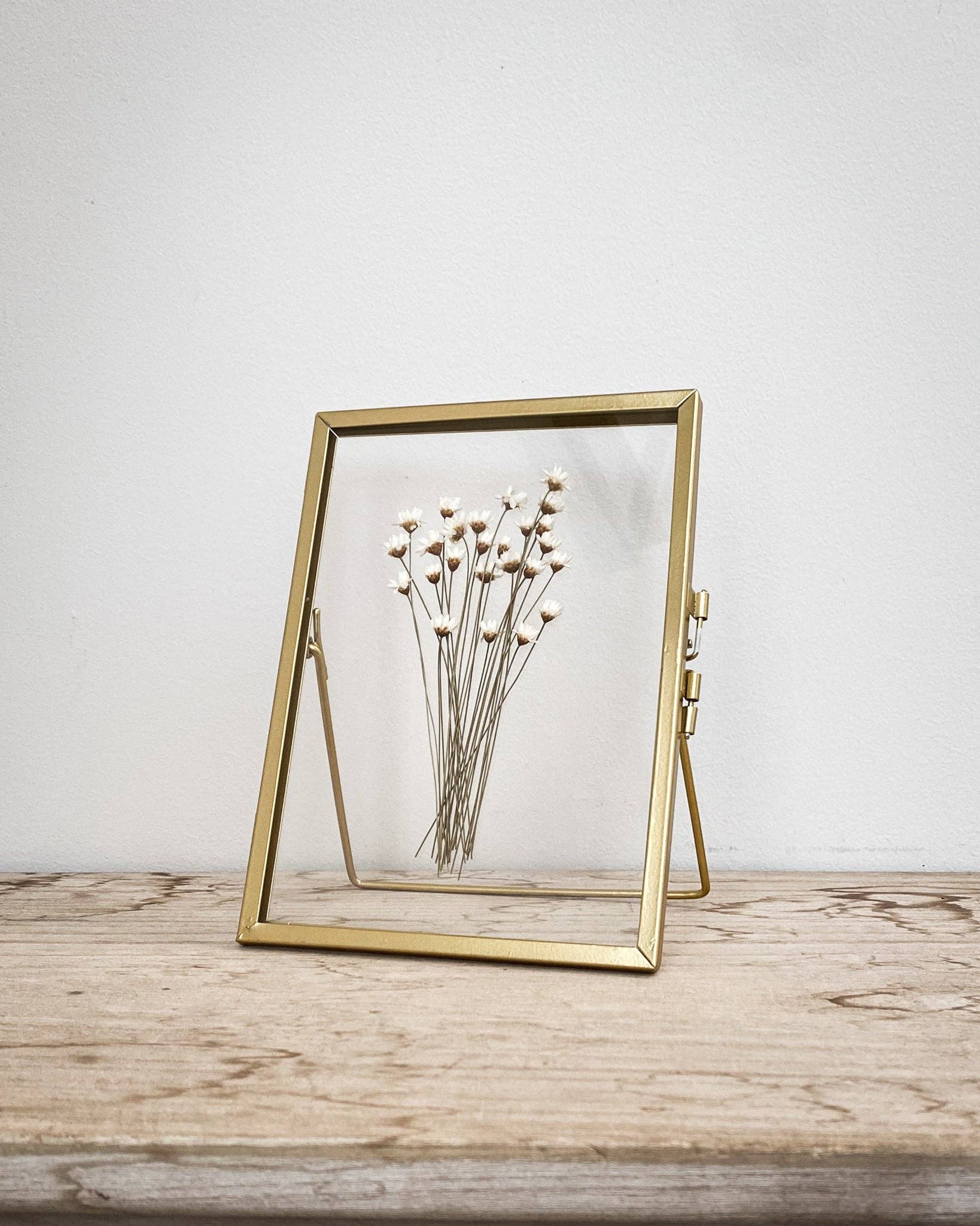 Coultura – wholesale Dried/pressed flowers – Gold Pressed Flower Frame: Natural Star Daisies - Small