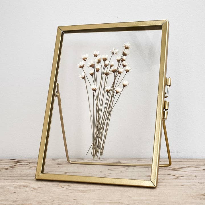 Coultura – wholesale Dried/pressed flowers – Gold Pressed Flower Frame: Natural Star Daisies - Small0