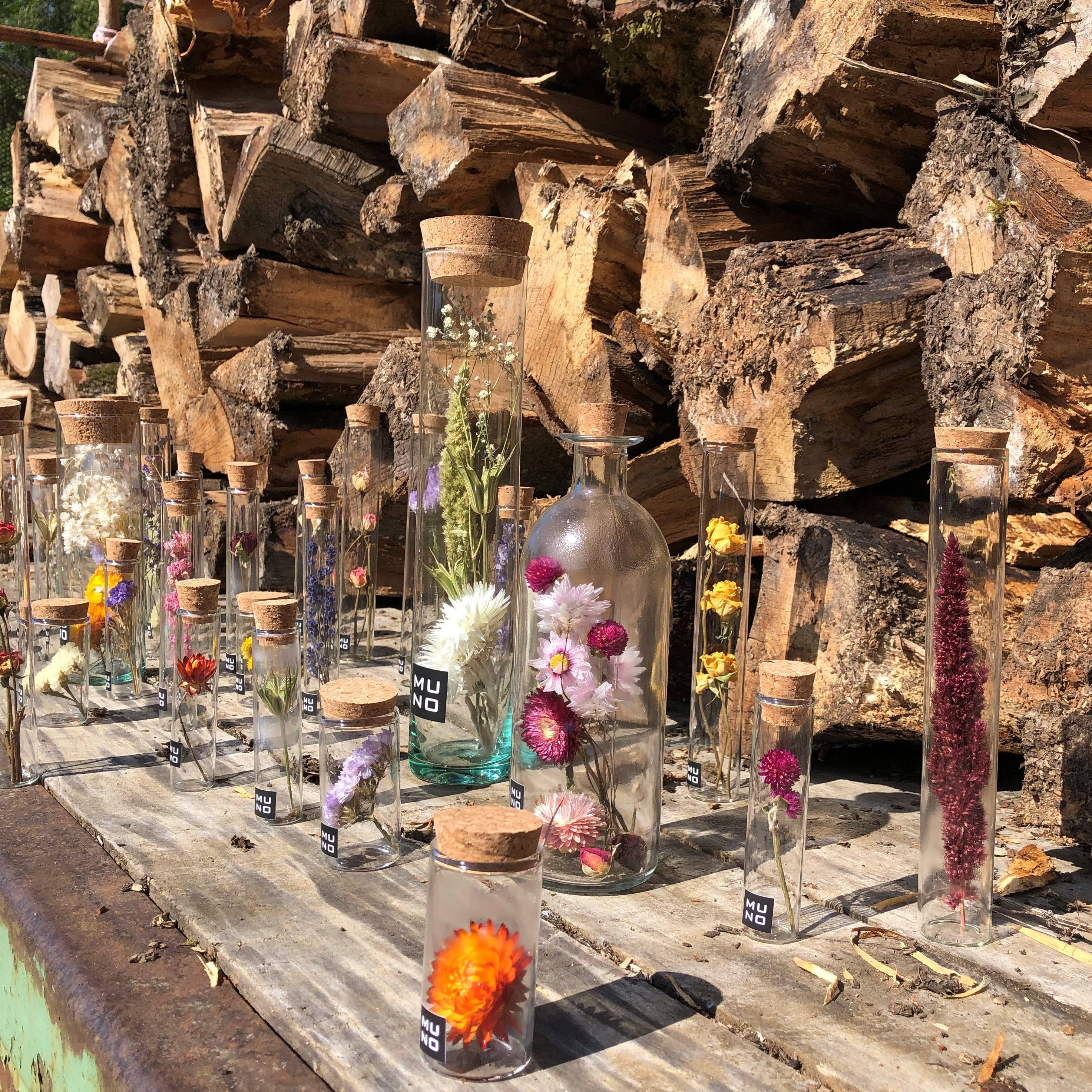 Muno – Flores secas/prensadas por atacado – Tubos de vidro de 15 cm com flores secas - Presente4