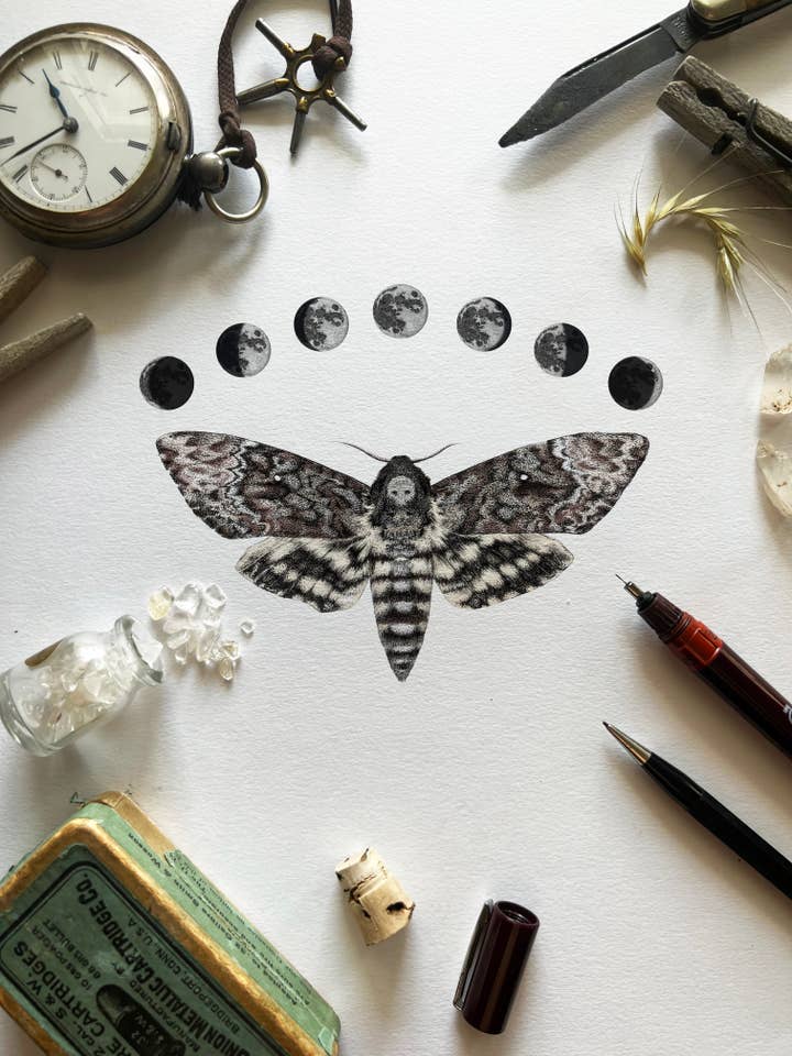 Lunaire Tête-de-Mort Papillon 5x7 pour la vente par InkWell Spectrum