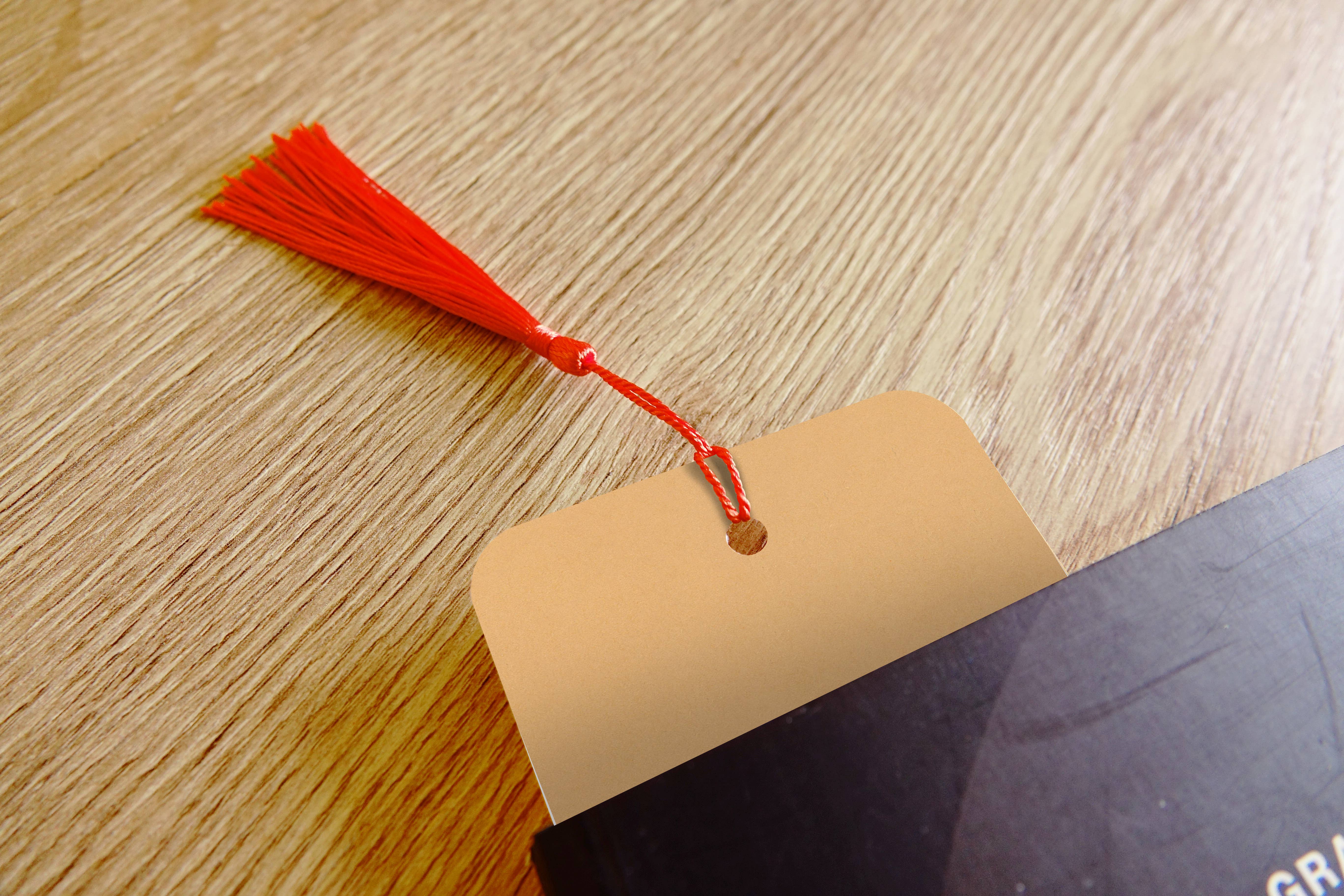 Digitaldreamcloud - Wholesale Bookmark - Boekenlegger met kwastje slapende kat1