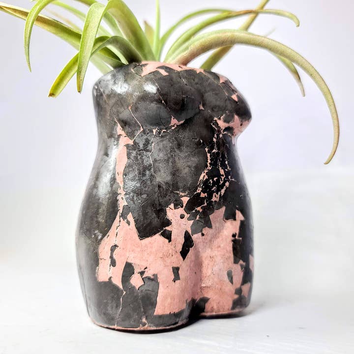 Geoform Designs - Vente Pot - Pot de statue de corps d'homme en béton | Jardinière de pénis | Porte-stylo7