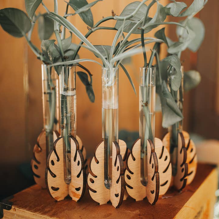 PlantsNsht - Wholesale Plant Pot - Monstera Tabletop Propagation Station