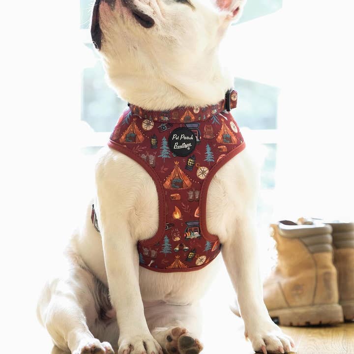 Pet Pooch Boutique - Wholesale Pet Collar - Dog - Great Adventure Puppy or Dog Collar