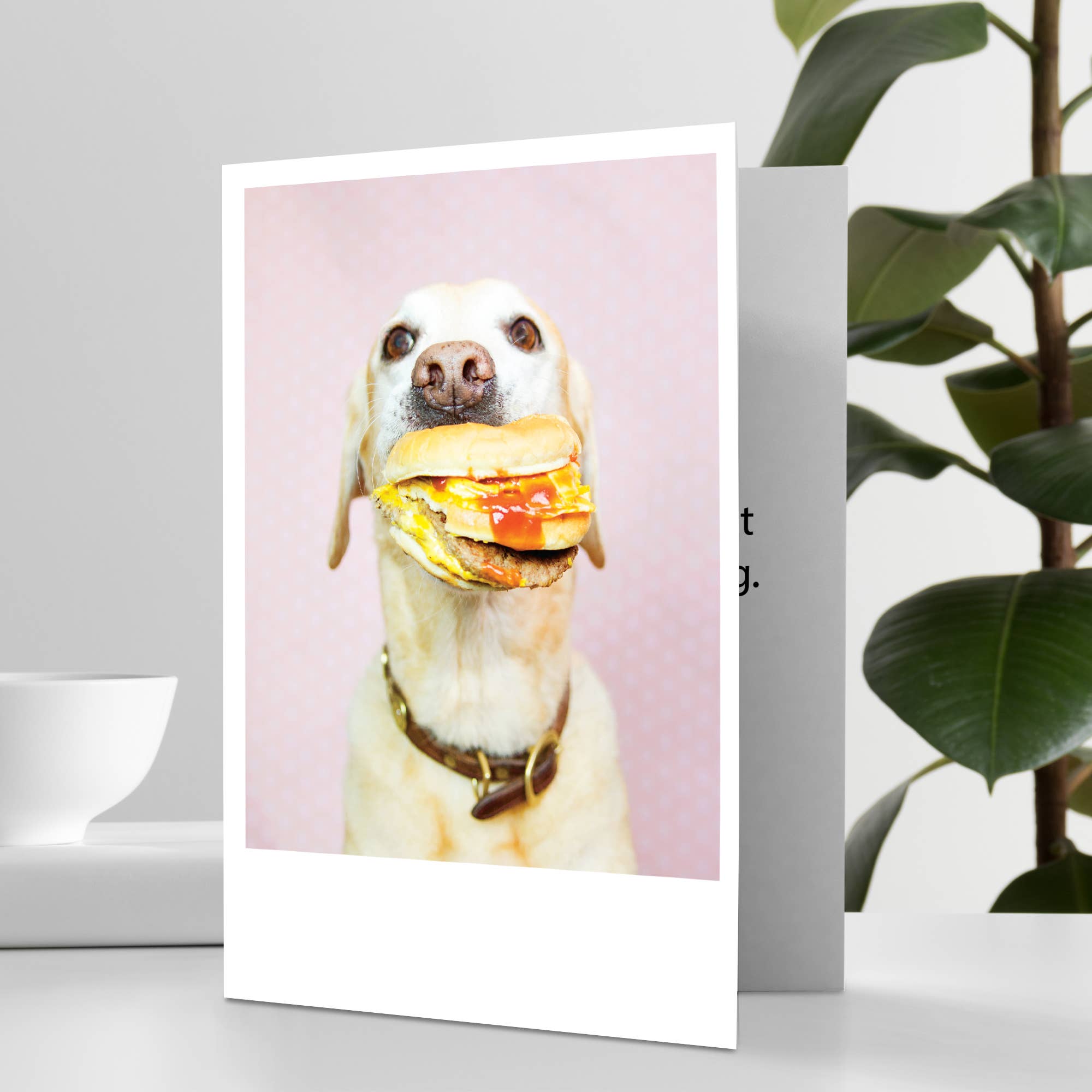Palm Press - Wholesale Birthday Card - Dog with Burger Happy Birthday Card1