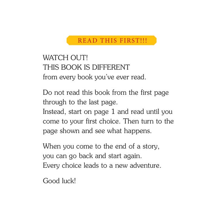 Choose Your Own Adventure - Wholesale Early Reader Book (6-8) - Fairy House, Children's Book1