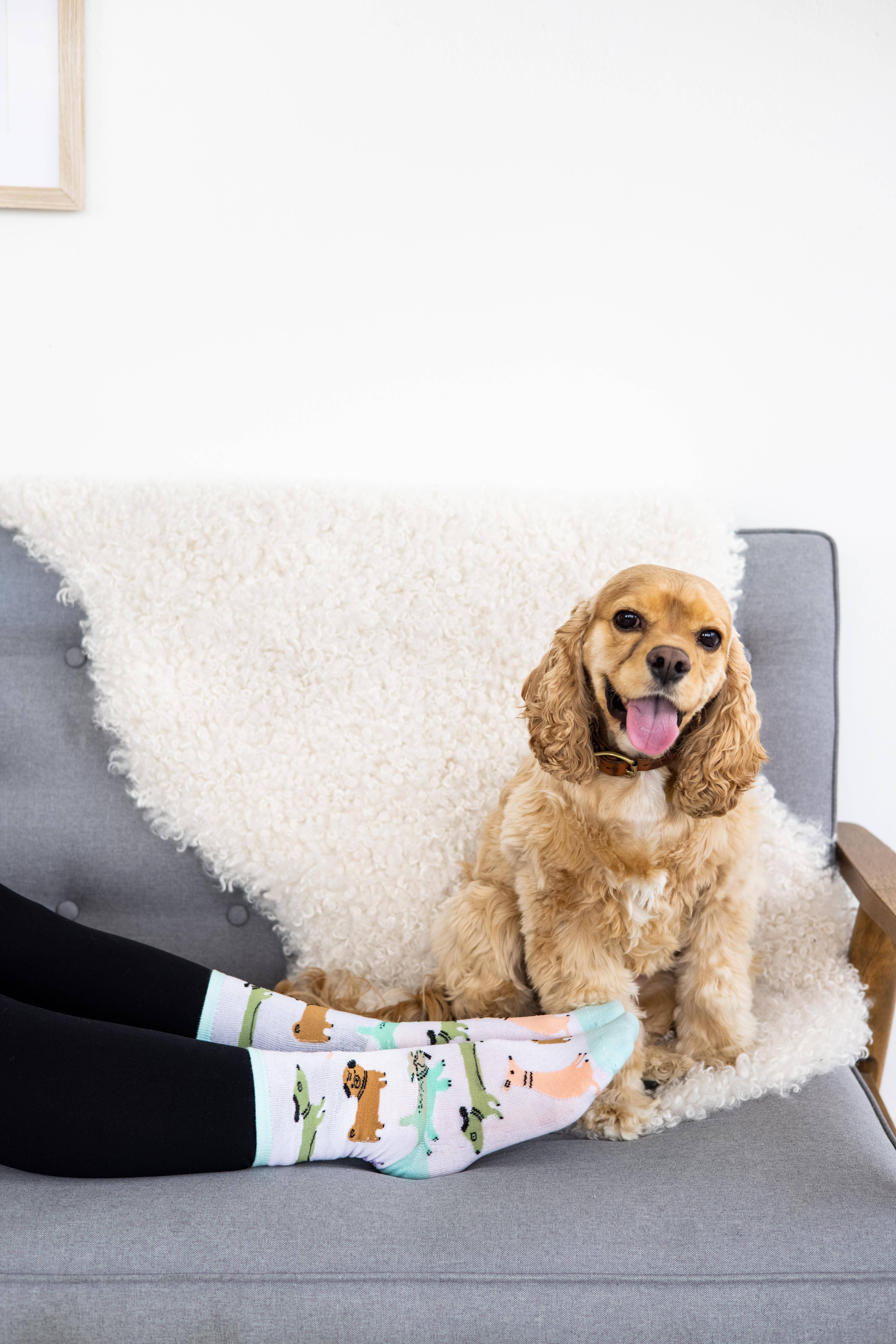 Pearhead - Wholesale Socks - Unisex - Dog Socks, Pet Owner Apparel, Unisex Crew Socks1