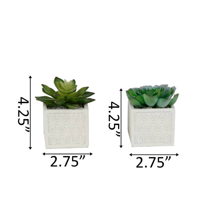 Flora Bunda Inc - Wholesale Artificial plant - Artificial Succulent in Pattern Ceramic Pot4
