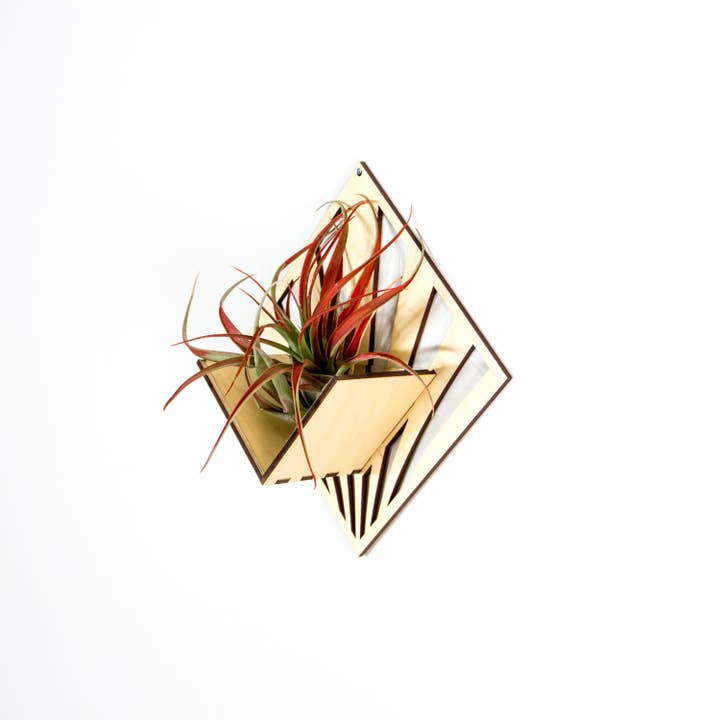 LIGHT RAZOR DESIGN STUDIO - Wholesale Wall planter - Air Plant Holder / Quadrate Wall Hanging Planter 287