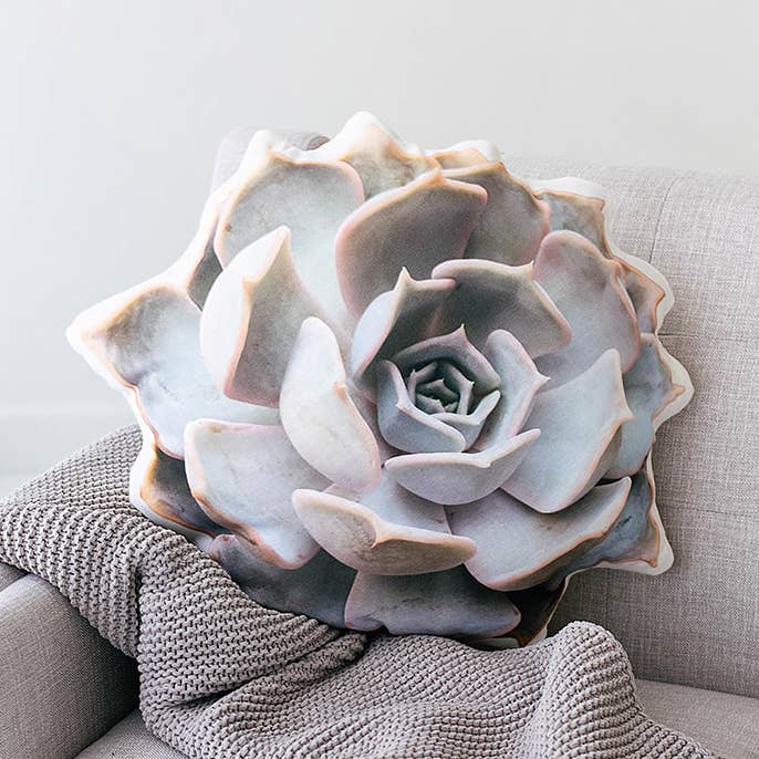 White Rose Succulent Pillow, Nature Photography Pillow for wholesale by AURE