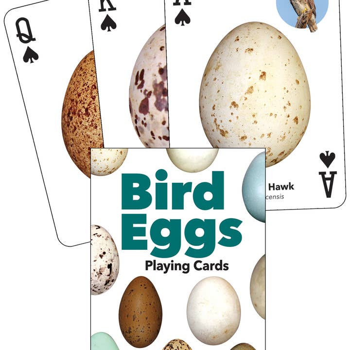 Bird Eggs Playing Cards for wholesale by AdventureKEEN