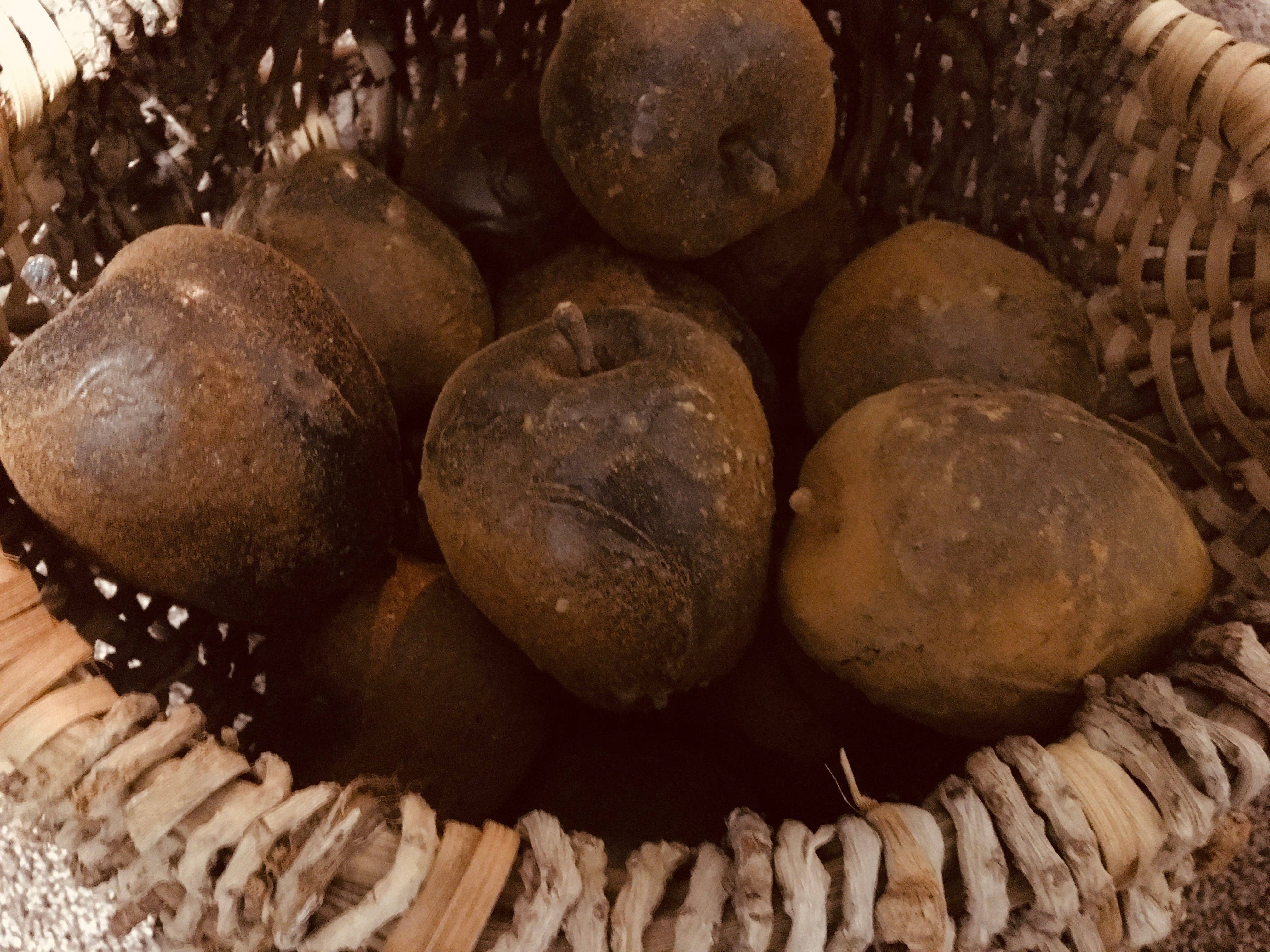 The Cranberry Cornstalk Co. - Vendita all'ingrosso Decorazioni da tavolo - Dolce mela per l'insegnante Riempitore per ciotola Primitive Decor2