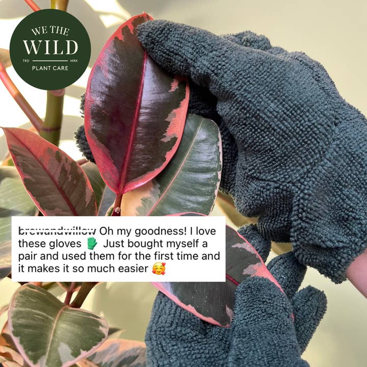 We The Wild Plant Care USA - Wholesale Garden Gloves - Microfiber Leaf Cleaning Gloves - Green8