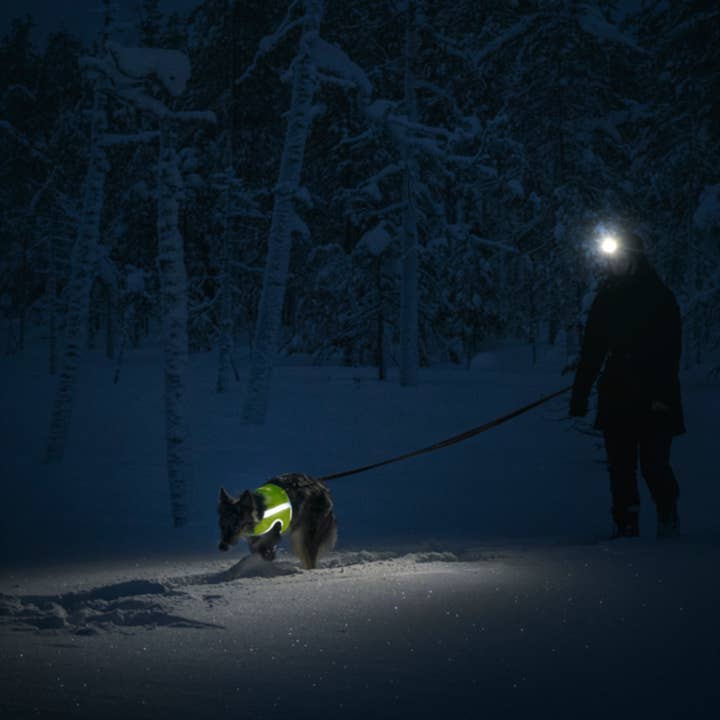 FINNERO - Wholesale Pet Vest - Dog - FINNERO ATTE Reflective Dog Attention Vest, 3 colors5