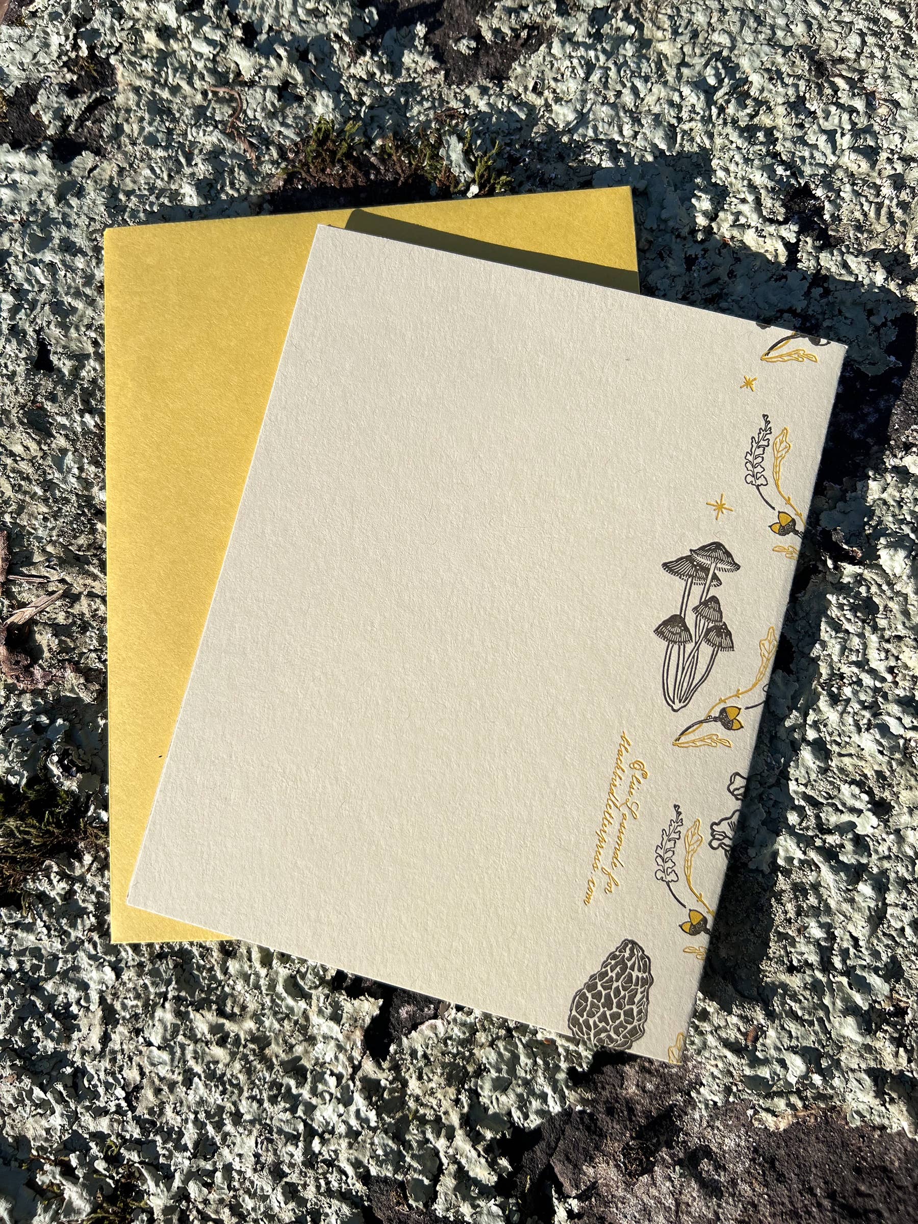 Blackbird Letterpress - Vendita all'ingrosso Biglietti di auguri - biglietto di compleanno Mushroom Woodland4