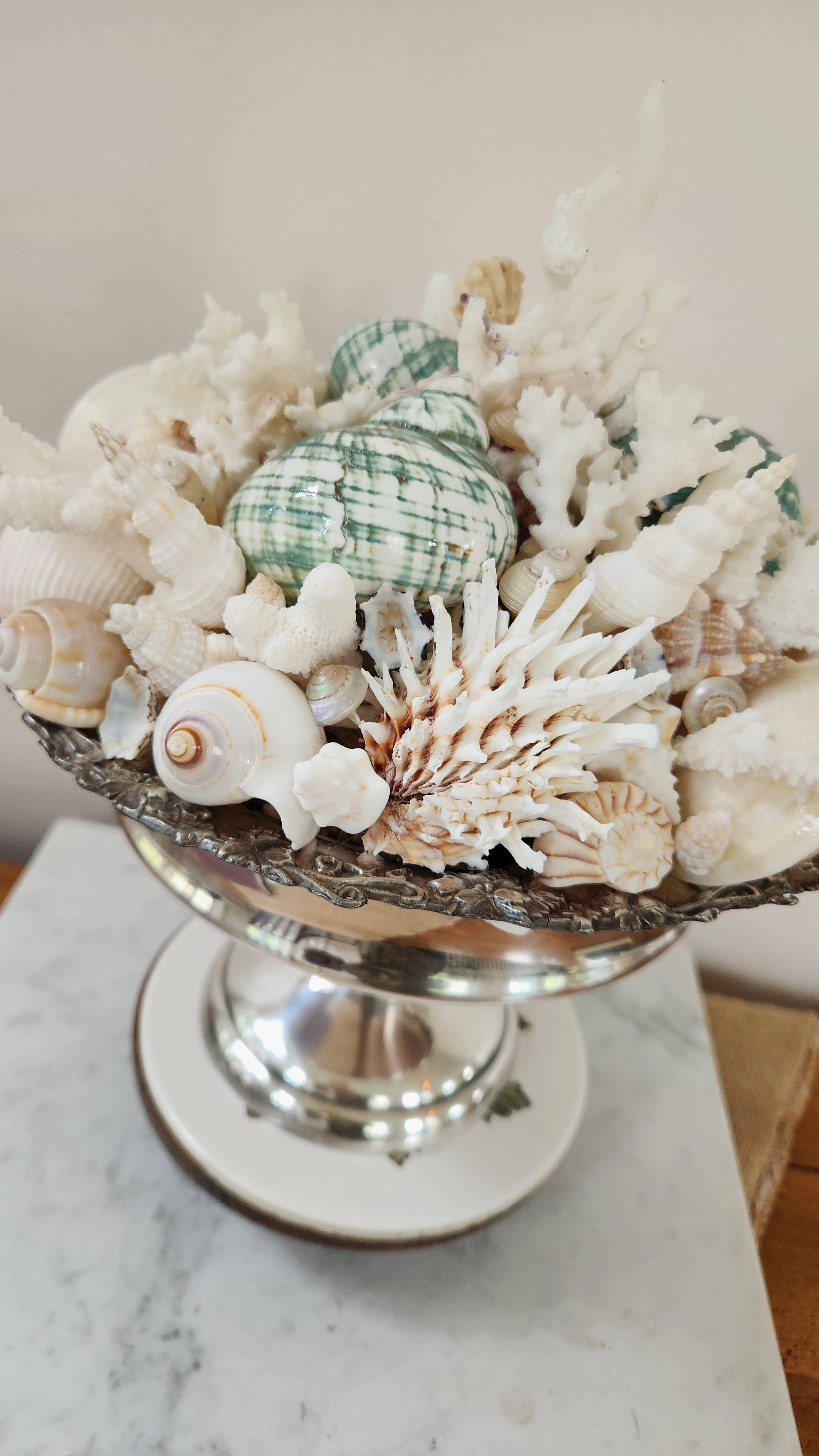 White Tulip Boutique - Wholesale Decorative Tabletop Object - Large Seashell n Coral Centerpiece, Table Top Decor, Topiary7