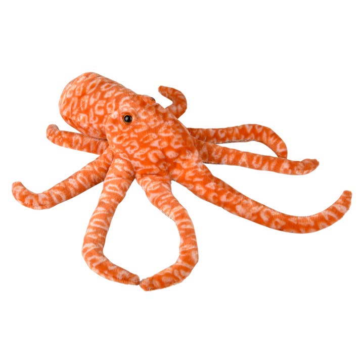 The Toy Network - Wholesale Stuffed/Plush Toy - Kids & Baby - (T) 12" ANIMAL DEN OCTOPUS PLUSH2