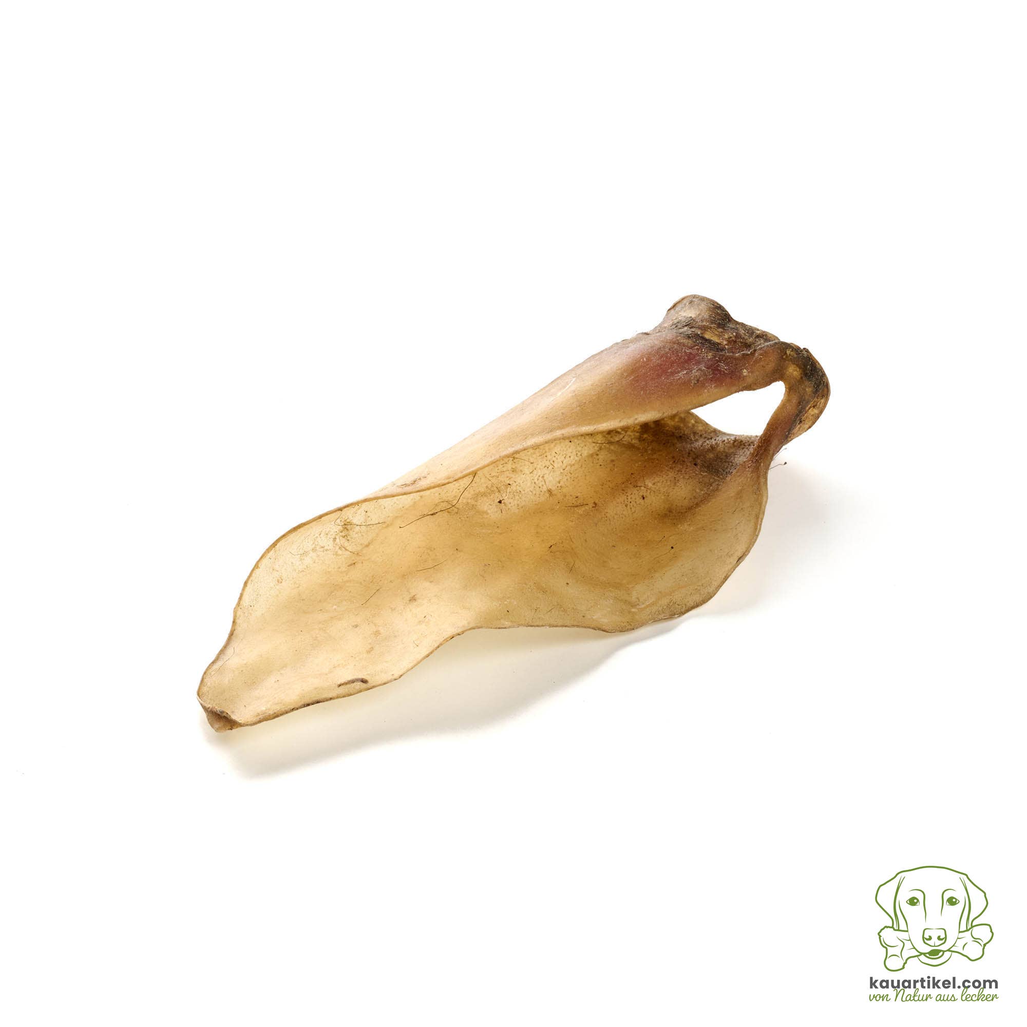 Kauartikel.com GmbH - Wholesale Pet Bone/Rawhide - Dog - Calf ears size M with shell base0