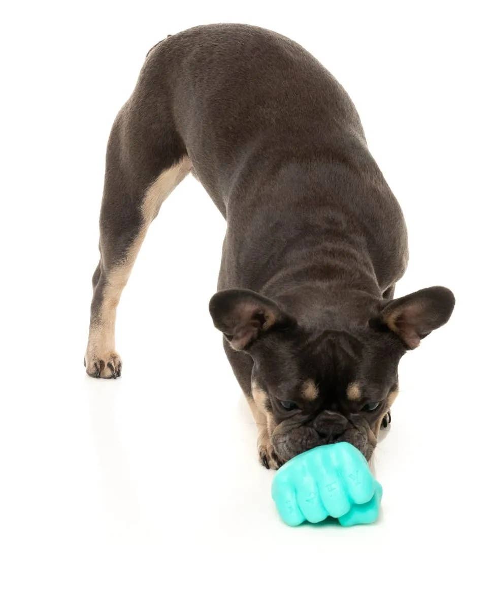 Pet Palette Distribution - Wholesale Pet Chew Toy - Dog - FuzzYard Knuckle Sandwich Dog Chew Toy6