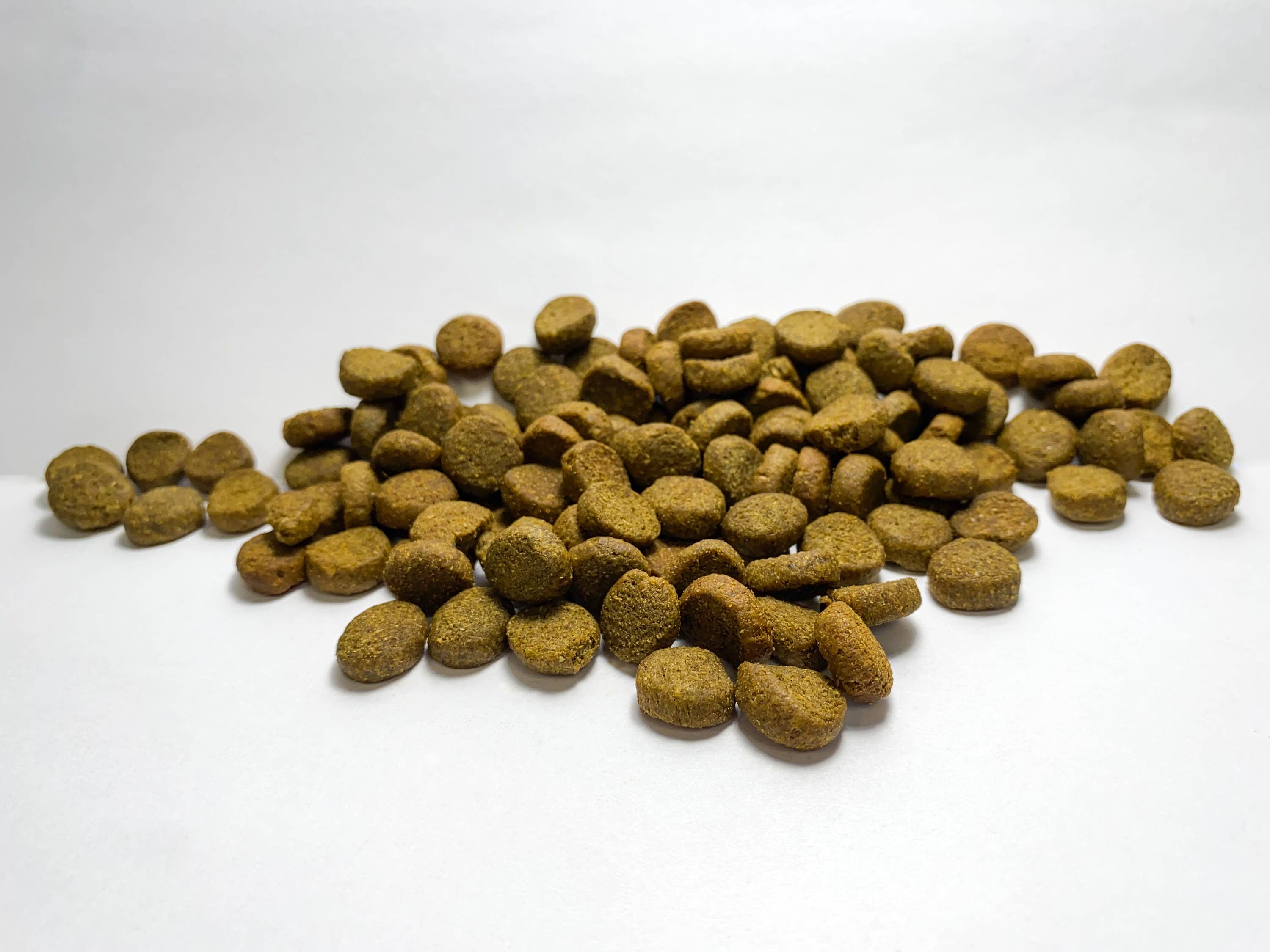 Canine Caviar - Wholesale Pet Food - Dog - Wild Ocean Limited Ingredient Alkaline® Entrée All Life 22lb1